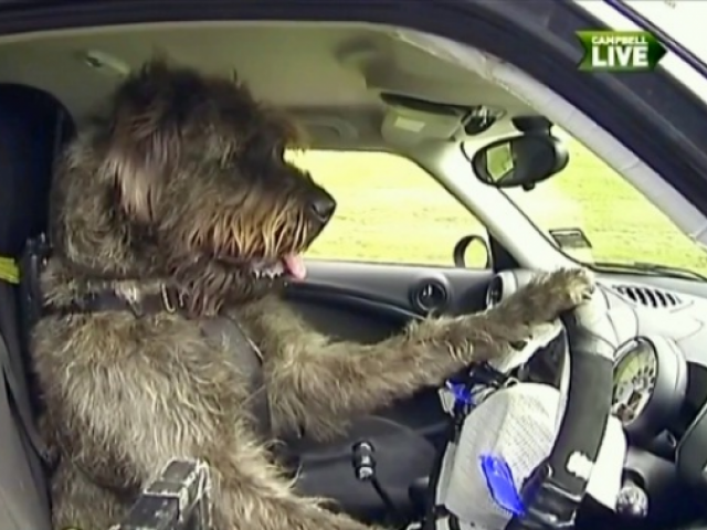 Автокотейка