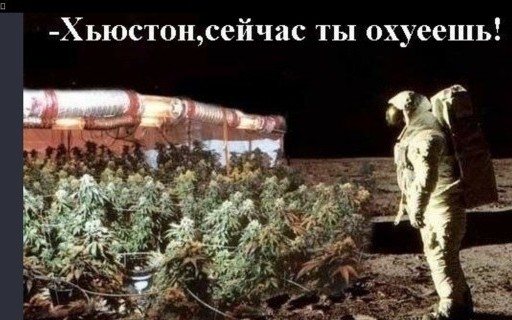 Работа в море. Антигуа и Барбуда