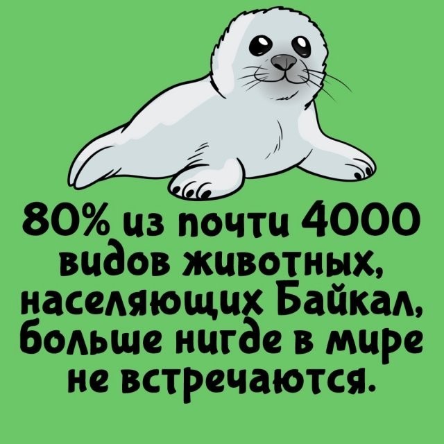 Подборка интересных фактов на все случаи жизни