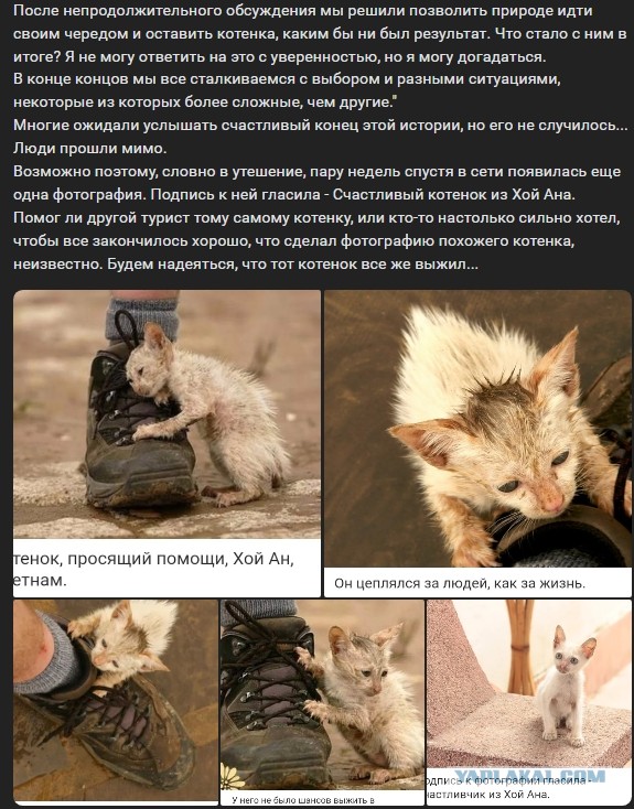 Моя собака!