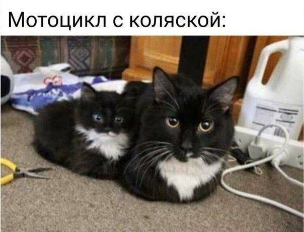 Так себе картинки 08.10.24