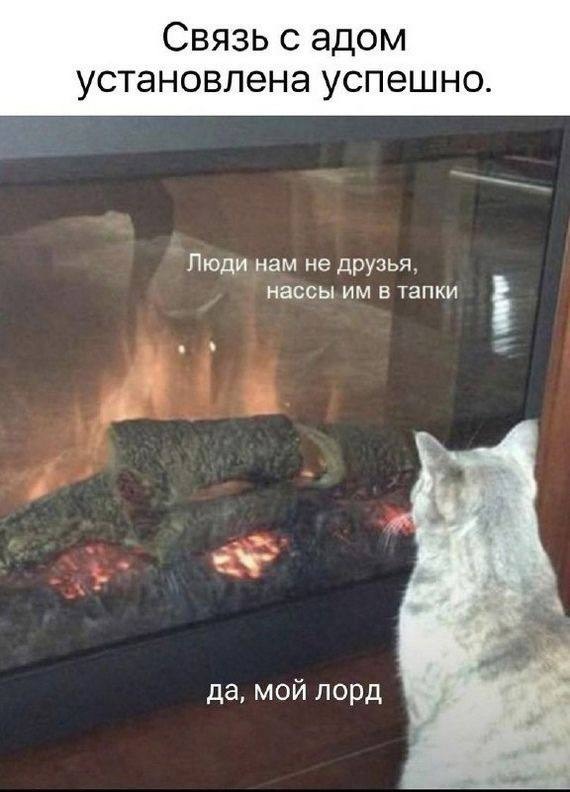 Завалялось тут случайно немного забавных картинок