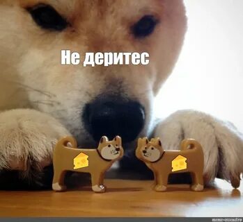 Трамп устроит переговоры РФ и Украины в первую неделю срока