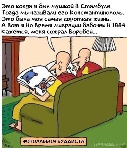 Так себе картинки 18.11.24