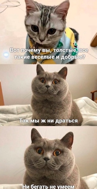Так себе картинки 20.01.25
