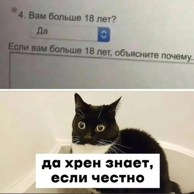 Так себе картинки 24.03.25