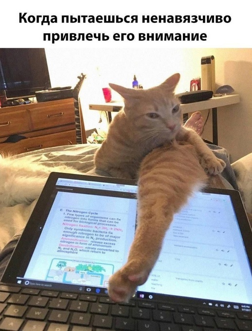 Картинки для деградации 7 (разной степени свежести)