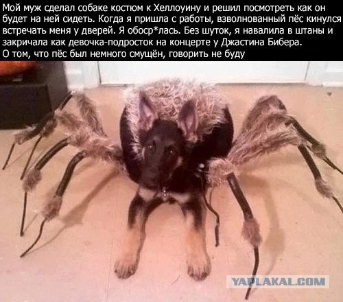 Как поржать на работе