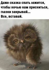 Спокойно ночи, малыши.