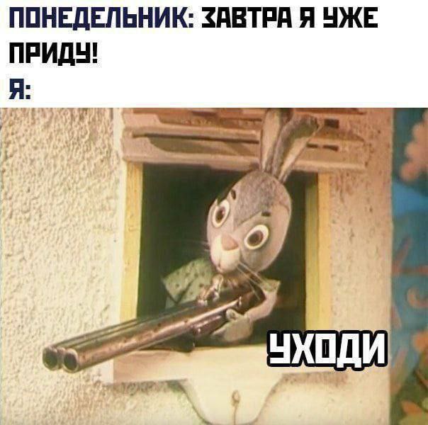 Веселое настроение в картинках (05.10.2025)
