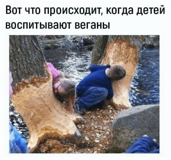 Среды картинки
