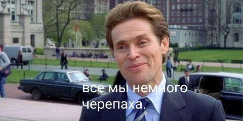 Черепаха просто.