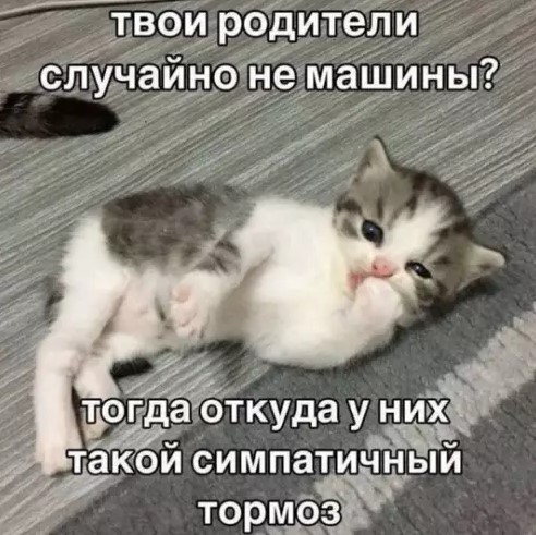 Картиночки, баянчики 01 апреля