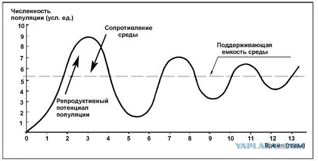 Про рождаемость