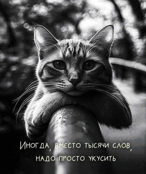 Картинки для деградации 207 (разной степени свежести)