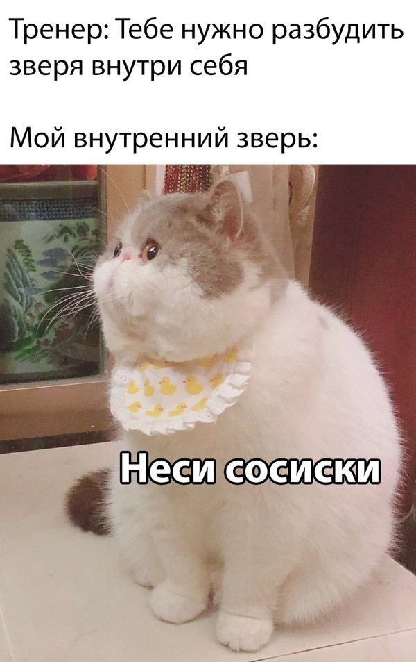 Картиночки, баянчики 14 июня