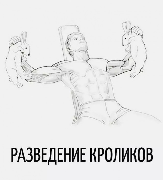 Веселые картинки в пятницу (10.07)