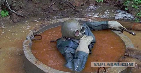 Наша современная жизнь может быть обязана своим существованием древней куче экскрементов