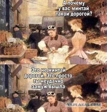 Поездка не удалась! Разочарование от Карелии