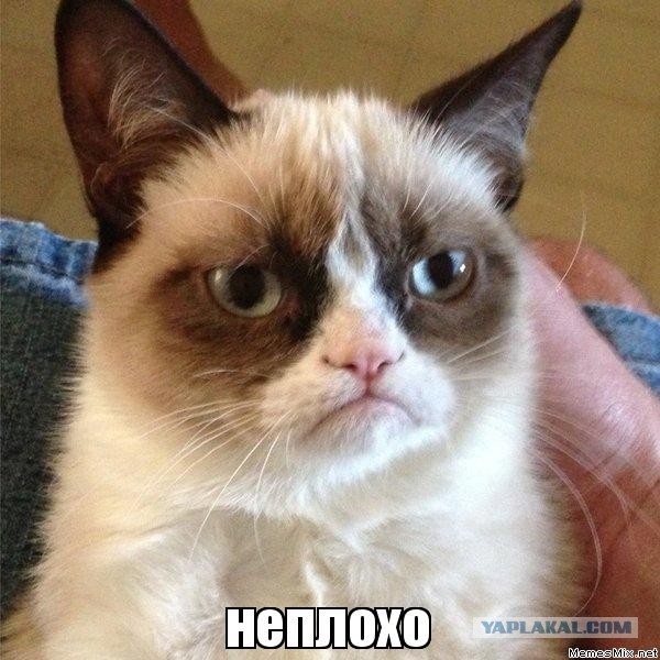 В Белоруссии хотят вернуть статью за мужеложство