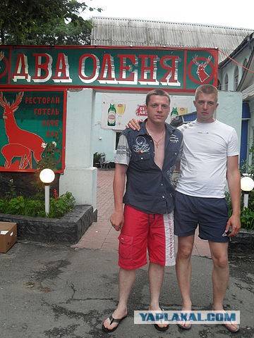 Олени!