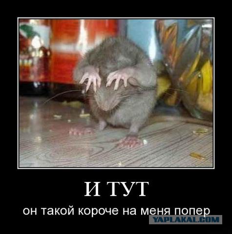 Демотиваторы.