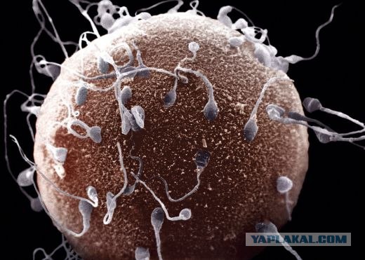 Бытовые предметы очень крупным планом