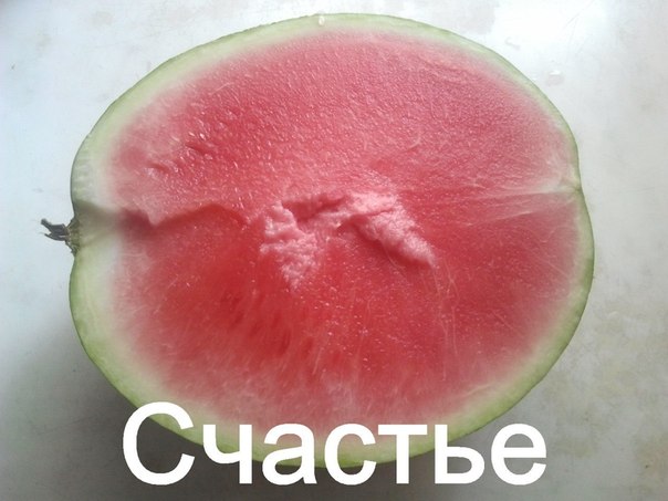 Смешные картинки