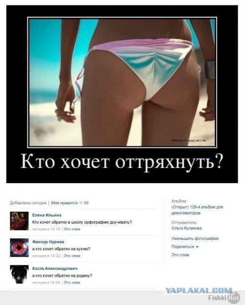 Позитивные картинки и комментарии.
