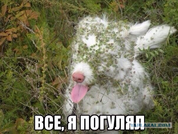 Картинки с просторов интернета