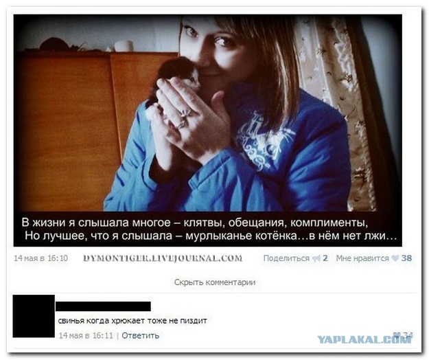 Новые "комментарии из соцсетей"