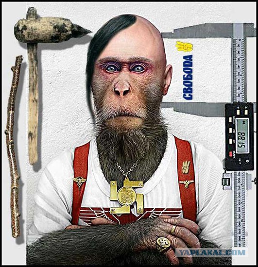 Россияне в ополчении на юго-востоке Украины