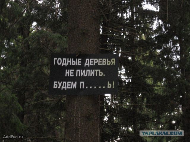 Это Россия, детка!