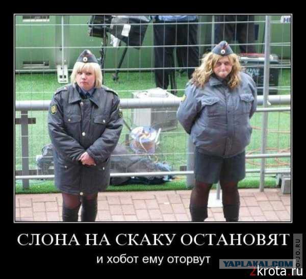 Между тем в России
