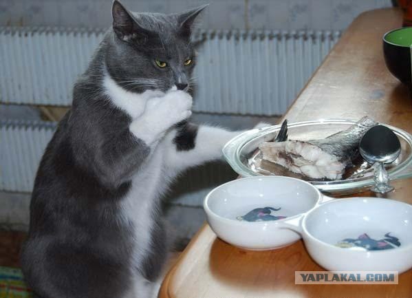 Купил, нашёл, едва ушёл.