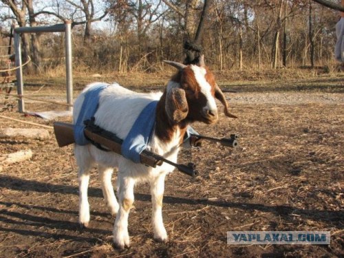 Военный хай-тек