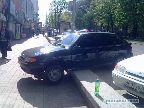 Весёлые картинки