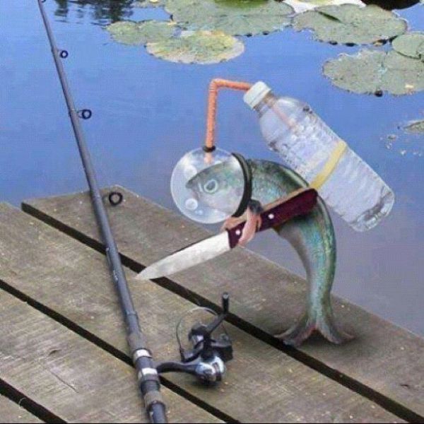 На Рыбалку!