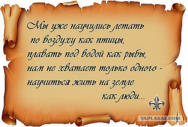 20 фактов обо всем
