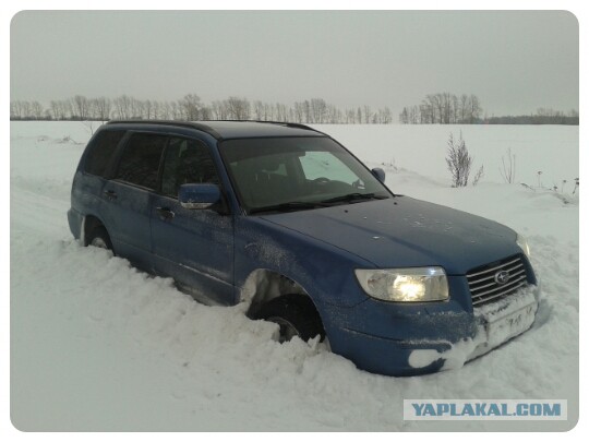 Перепись субароводов ЯПа