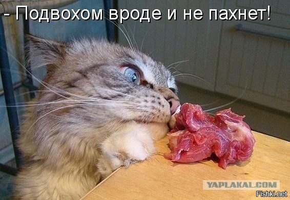 Забавные картинки из сети