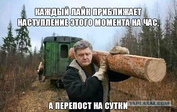 Картинки про политику