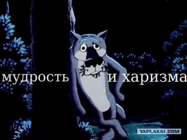Немец разделил пилой совместно нажитое имущество