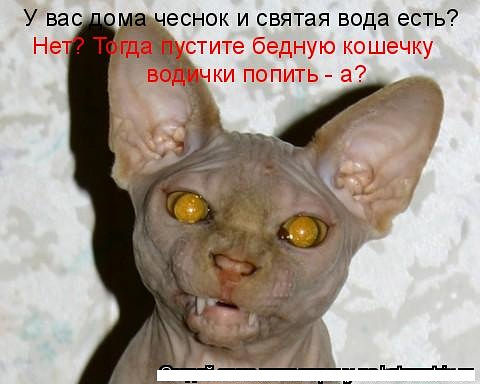 Страшнее кошки зверя нет!