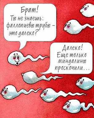 «Без шансов на встречу»