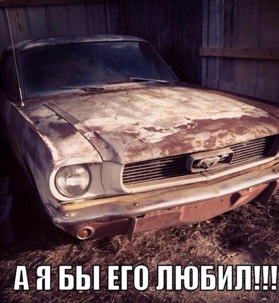 Подборка прикольных фото на пятницу