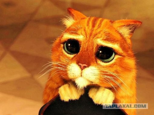 Когда зашёл в уголок падонка ...