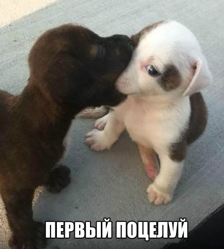 Немного картинок