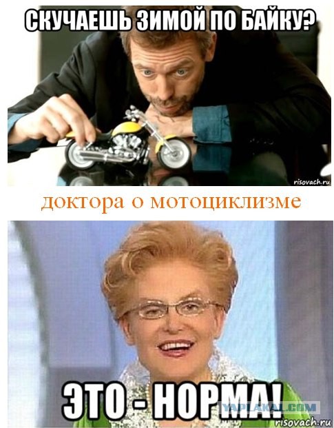 На тему мототоксикоза