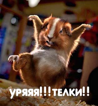 Уже да :) Ужо пятнецца...